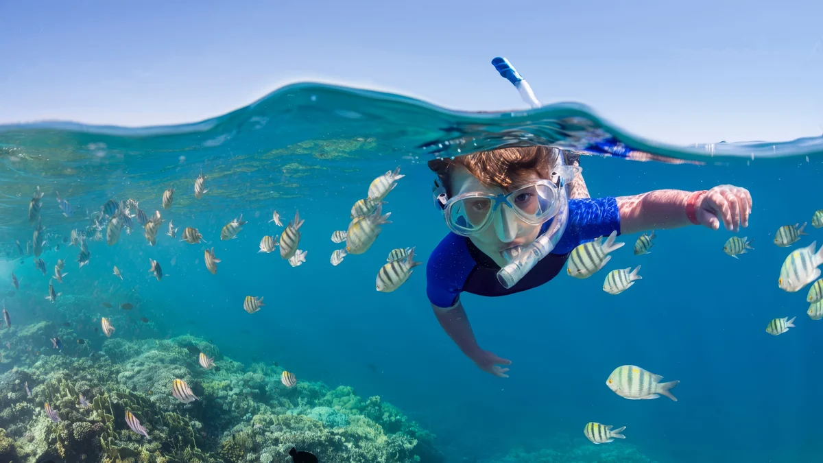 Child snorkeling over a coral reef with tropical fish